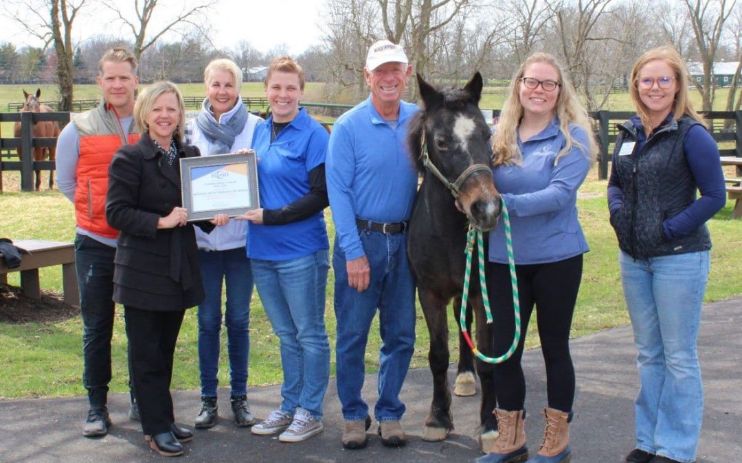April 2022 Chamber Impact Morning Dove Therapeutic Riding